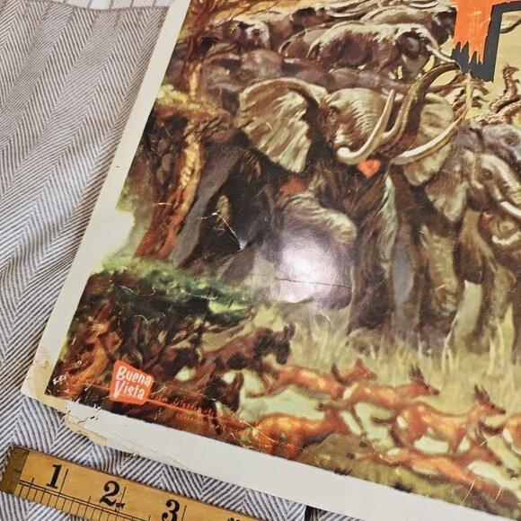 1955 The African Lion Original Walt Disney 28x22 Litho Movie Poster Very Rare US - Picture 2 of 12